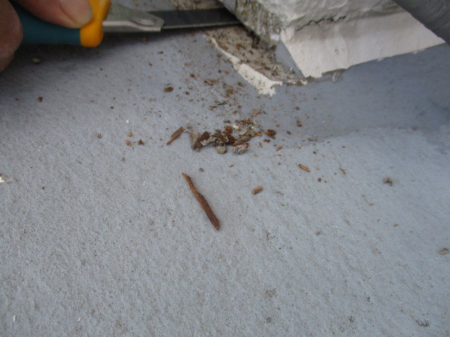 181009滝下佳寛様20