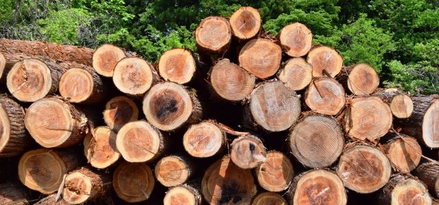 輸入材と国産材　木材　株式会社エムズ