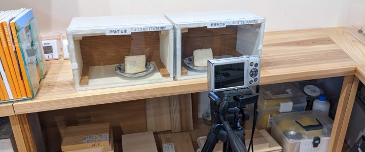 エムズのカビ実験ムービー化計画　株式会社エムズ