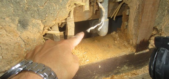 徳島　工務店　エムズ　自然素材　体に優しい　家作り　リフォーム　木造　新築　工事　家具工事　現場　コンクリート　コンクリート工事　基礎　基礎工事　断熱工事　断熱材　セルロース　デコス　現場監督　木材　大工　大工さん　棟梁　ダンプカー　仕上げ　掃除　綺麗　内装　内装工事　和紙　和紙クロス　畳　和風　和モダン　左官　左官工事　左官屋さん　板金工事　板金屋さん　お寺　清水寺　軽トラ　漆喰　左官仕上げ　鉄筋　型枠組　墨出し　ポンプ打ち　熱い　設計　設計仕　子供に優しい家作り　子供　ママ　ママ目線　家事　家事動線　アイデア　水切り　パパ　パパの隠れ家　隠れ家　趣味　趣味部屋　外構　外構工事　駐車場　珪藻土　シロアリ工事　エアコン　エアコン工事　タイル　洗面　洗面室　洗濯　パントリー　玄関　ユニットバス　TOTO　タカラ　パナソニック　インテリアファン　循環　換気　同時給排　カウンター　机　銘木　銘木机　サンダー磨き　オスモ　リボス　足場　仮設　塗装工事　養生　衛生器具　ウォシュレット　呼吸する家　ソファ　ベッド　収納　配線　配線工事　鏝　鉋　ノコギリ　金槌　上棟式　地鎮祭　上棟　手伝い　美装　タイル　タイル工事　納まり　打合せ　色見本　サイディング　デラクリート　樋　ジョリパッド　コーキング　軒天　ケイカル　子育て　豪華　落ち着く　奥ゆかしさ お引き渡し　引っ越し　くつろぐ　漏水工事　漏水　施工　業者　こだわり　トイレ　手洗い器　コンセント 桧　杉　メープル　無垢フローリング　蜜蝋　結露　結露しない　カーテン　カーテン工事　自宅　コテージ　ガレージ　カーポート　テラス　床鳴り　梁　化粧梁　足場　差し金　土間コンクリート工事　玄関ドア　断熱玄関　玄関　勝手口　リノベーション　内窓　インプラス　シロアリ工事　上棟　断熱性能　気密　ウッドデッキ　セランガンバツ　掘方　砕石敷き均し　気密点検口　床下点検口　天井点検口　コンセント　スイッチ　足元灯　階段　手摺　手摺取付　コーキング　コートライン　銘木テーブル　ホッとする　お餅投げ　紅白幕　お祝い　モルタル塗り　セメント仕上げ　解体工事　復旧工事　庇造作　窓枠造作　建具枠造作　気抜き取付　予算管理　品質管理　工程管理　工程表　コロナ　コロナ対策　コロナ渦　フェンス　　