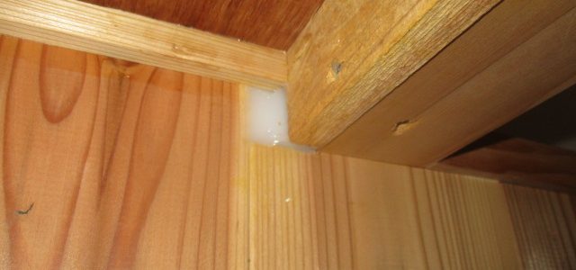 徳島　工務店　エムズ　自然素材　体に優しい　家作り　リフォーム　木造　新築　工事　家具工事　現場　コンクリート　コンクリート工事　基礎　基礎工事　断熱工事　断熱材　セルロース　デコス　現場監督　木材　大工　大工さん　棟梁　ダンプカー　仕上げ　掃除　綺麗　内装　内装工事　和紙　和紙クロス　畳　和風　和モダン　左官　左官工事　左官屋さん　板金工事　板金屋さん　お寺　清水寺　軽トラ　漆喰　左官仕上げ　鉄筋　型枠組　墨出し　ポンプ打ち　熱い　設計　設計仕　子供に優しい家作り　子供　ママ　ママ目線　家事　家事動線　アイデア　水切り　パパ　パパの隠れ家　隠れ家　趣味　趣味部屋　外構　外構工事　駐車場　珪藻土　シロアリ工事　エアコン　エアコン工事　タイル　洗面　洗面室　洗濯　パントリー　玄関　ユニットバス　TOTO　タカラ　パナソニック　インテリアファン　循環　換気　同時給排　カウンター　机　銘木　銘木机　サンダー磨き　オスモ　リボス　足場　仮設　塗装工事　養生　衛生器具　ウォシュレット　呼吸する家　ソファ　ベッド　収納　配線　配線工事　鏝　鉋　ノコギリ　金槌　上棟式　地鎮祭　上棟　手伝い　美装　タイル　タイル工事　納まり　打合せ　色見本　サイディング　デラクリート　樋　ジョリパッド　コーキング　軒天　ケイカル　子育て　豪華　落ち着く　奥ゆかしさ お引き渡し　引っ越し　くつろぐ　漏水工事　漏水　施工　業者　こだわり　トイレ　手洗い器　コンセント 桧　杉　メープル　無垢フローリング　蜜蝋　結露　結露しない　カーテン　カーテン工事　自宅　コテージ　ガレージ　カーポート　テラス　床鳴り　梁　化粧梁　足場　差し金　土間コンクリート工事　玄関ドア　断熱玄関　玄関　勝手口　リノベーション　内窓　インプラス　シロアリ工事　上棟　断熱性能　気密　ウッドデッキ　セランガンバツ　掘方　砕石敷き均し　気密点検口　床下点検口　天井点検口　コンセント　スイッチ　足元灯　階段　手摺　手摺取付　コーキング　コートライン　銘木テーブル　ホッとする　お餅投げ　紅白幕　お祝い　モルタル塗り　セメント仕上げ　解体工事　復旧工事　庇造作　窓枠造作　建具枠造作　気抜き取付　予算管理　品質管理　工程管理　工程表　コロナ　コロナ対策　コロナ渦　フェンス　　