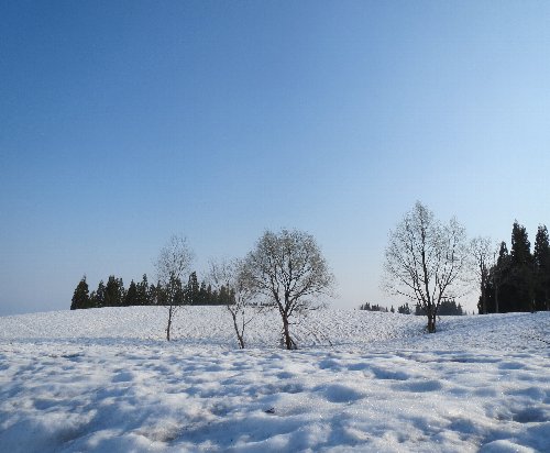 十日町市の雪景色