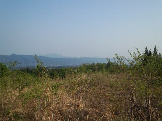 新潟県十日町市