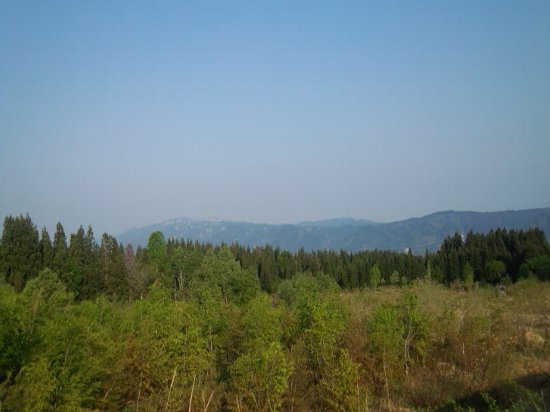 新潟県十日町市